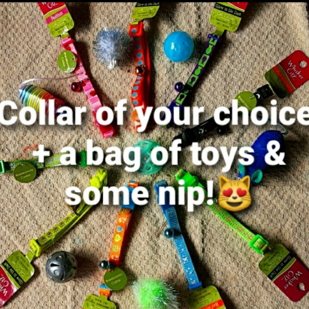 1️⃣Collar6️⃣+toys❣🐈